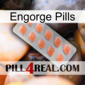 Engorge Pills 26